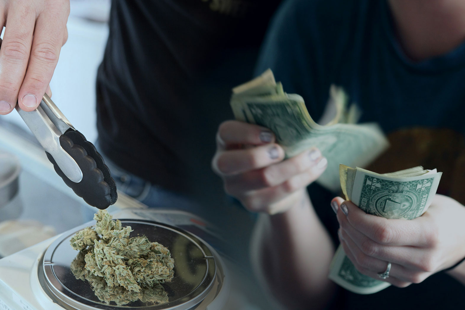 Ein Überblick nach der Cannabis Legalisierung